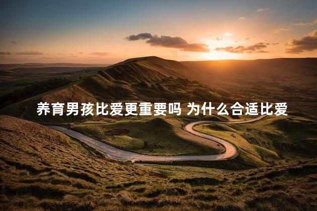 养育男孩比爱更重要吗 为什么合适比爱更重要